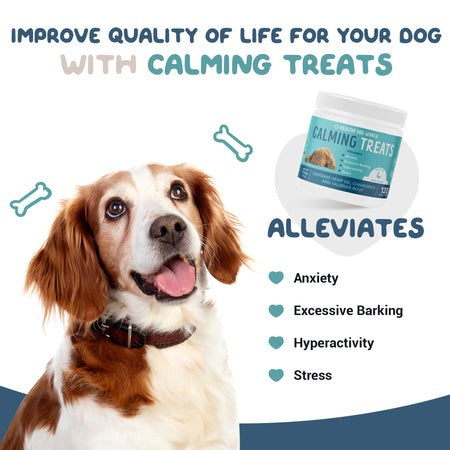 best calming treats for dogs