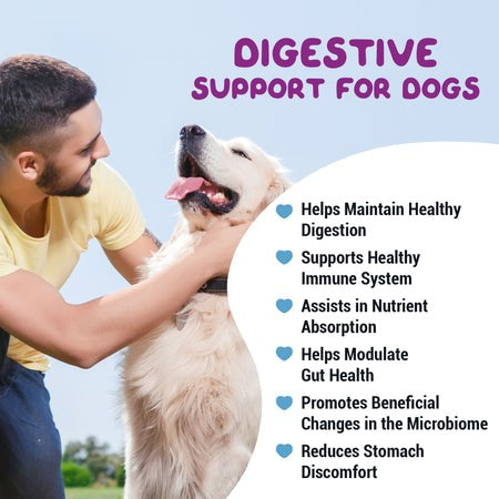 best probiotic for dogs with digestive issues