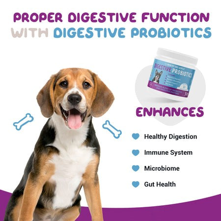 probiotic supplements for dogs